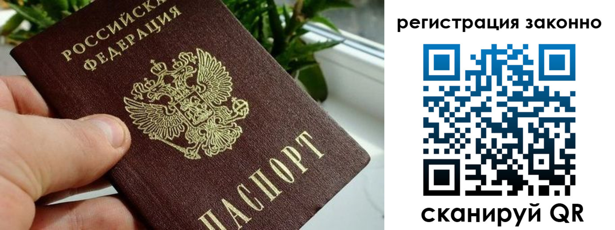 прописка гарантия в Вихоревке